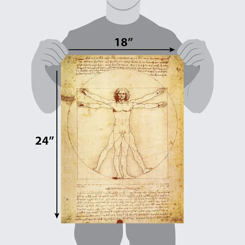 Vista 2 de Paquete de 3 – Vitruvian Man por Leonardo Da Vinci + The Old Guitarist por Pablo Picasso + póster de esqueleto de Van Gogh – impresiones artísticas
