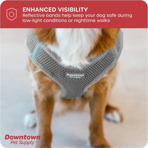 Vista 116 de Downtown Pet Supply Arnés para perro Step-in – Sin tirones, malla acolchada ajustable con ribete reflectante, correa de hebilla segura – Arnés