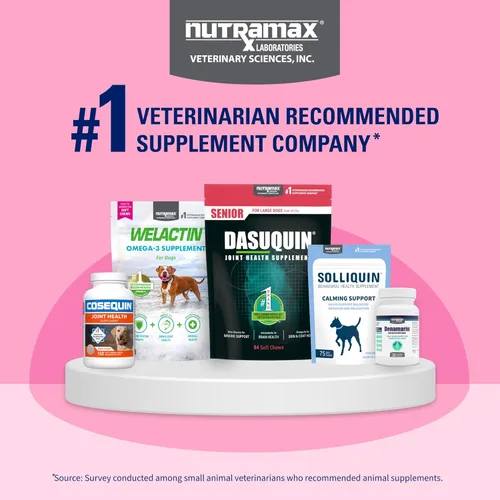 Vista 12 de Nutramax Proviable Probióticos para Perros y Gatos, Suplemento Diario para la Salud Digestiva con Múltiples Cepas de Bacterias, Probióticos