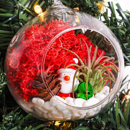 Vista 6 de Creations by Nathalie - Kit de terrario de adorno de Navidad, globo de vidrio de 4 pulgadas, musgo de reno, figura de Navidad- (planta incluida)