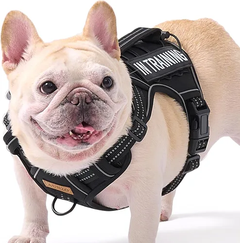 Vista 31 de Arnés para perro sin tirones para perros de tamaño pequeño, chaleco ajustable para caminar fácilmente, material Oxford transpirable, tiras Verde