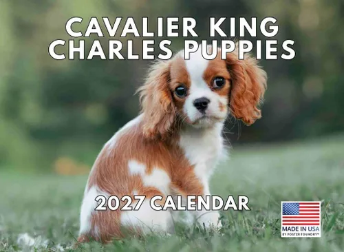 Vista 76 de Calendario mensual de pared Airedale Terrier Dog 2027