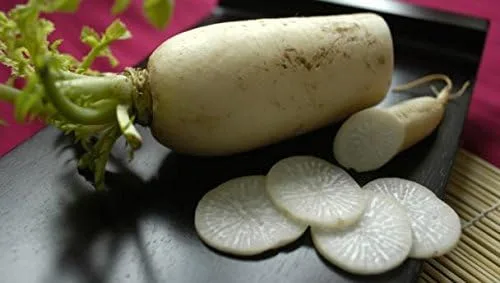 Vista 2 de Semillas de rábano Daikon a granel orgánicas Minowase japonesa (1/2 Lb)