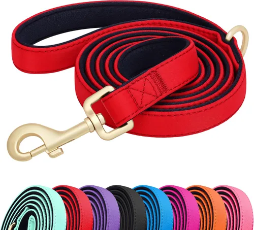 Vista 13 de Didog Correa para perro de nailon colorido de 5 pies con acolchado suave de longitud completa, ligera y duradera para perros pequeños, negro, S