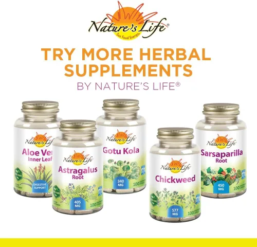 Vista 5 de Nature's Life Hongo Reishi 1200 mg Función inmune saludable, suplemento de energía y apoyo del estado de ánimo Sin OMG y verificado