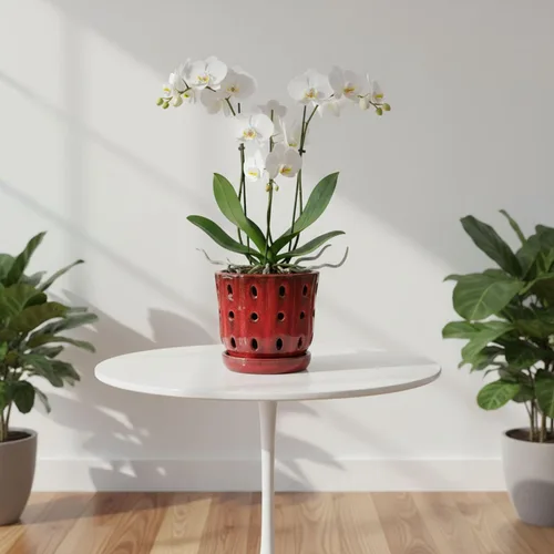 Vista 7 de Juego de 2 macetas de orquídea de cerámica de 4.9 pulgadas con Rojo