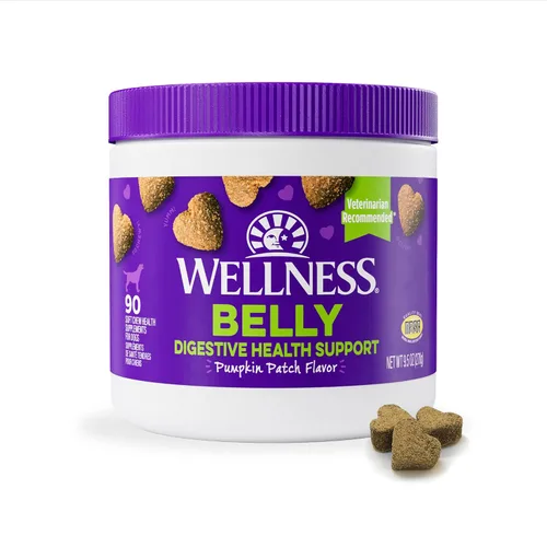 Vista 9 de Wellness Pumpkin Patch - Suplementos de salud digestiva suave con sabor a parche para perros, 45