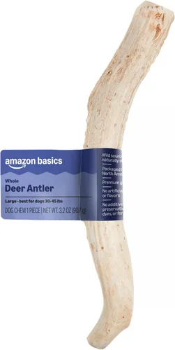 Vista 11 de Marca Amazon – Wag Dog Deer Antler masticable, desprendido naturalmente. Entero, pequeño, de larga duración para masticadores agresivos, mejor