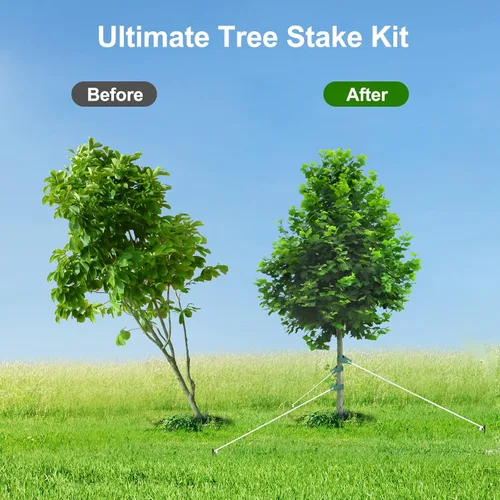 Vista 3 de Kits de estacas para árboles, estacas de árbol resistentes y kits de soporte para árboles jóvenes contra el mal tiempo, 3 estacas para árboles, 3