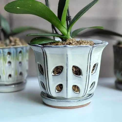 Vista 5 de Macetas de orquídeas con agujeros de 6 pulgadas de cerámica para orquídeas con platillo adjunto y orificio de drenaje (blanco)