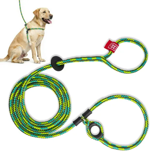 Vista 29 de Harness Lead Juego de arnés y correa para perro sin tirones, arnés antitirones para todas las razas y tamaños, diseño de cuerda acolchada de una