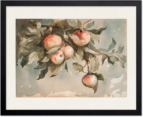 Vista 73 de Poster Master Póster vintage de estudio de manzanas, impresión retro de frutas muertas - Arte de acuarela - Arte de frutas - Regalo para hombres
