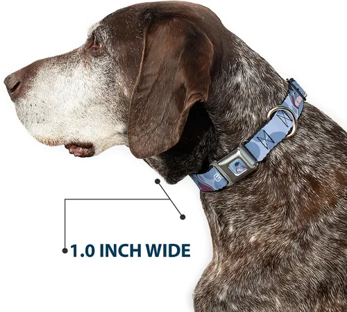 Vista 6 de Disney - Collar para mascotas, collar de perro, hebilla de cinturón de seguridad, Winnie The Pooh Eeyore Text and Expression Close Up Dot Blues, 9.5