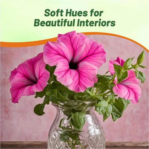 Vista 6 de Outsidepride Pink Petunia Grandiflora Seeds - 250 unidades. Semillas de flores anuales, compactas y versátiles para plantar flores vibrantes de bajo