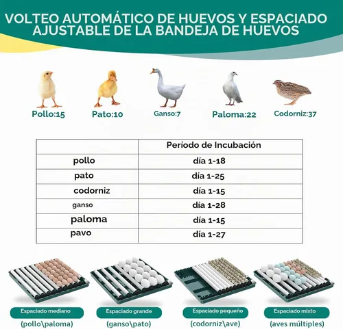 Vista 3 de Incubadora inteligente de aves de corral, 38 huevos, girador automático y control de temperatura para incubar huevos de pollo, codorniz, ave y pato