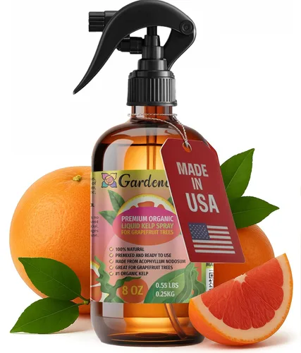 Vista 31 de GARDENERA Spray orgánico profesional de algas marinas para plantas AGLAONEMA – 8 oz – Rocío fertilizante de algas marinas y algas marinas totalmente