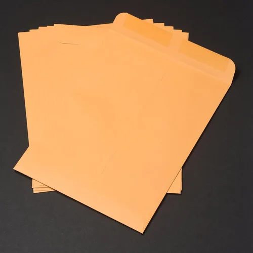 Vista 4 de Quality Park Heavyweight Catalog Envelopes, Gummed, Brown Kraft, 10 x 13, 250 per Box, (41665) (Pack of 2)