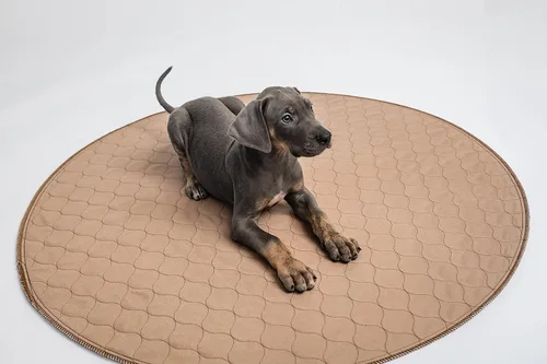Vista 7 de almohadilla lavable para cachorro 36 pulgadas 36-inch round washable waterproof pee pad, reusable slip-resistant mat for dog potty training and