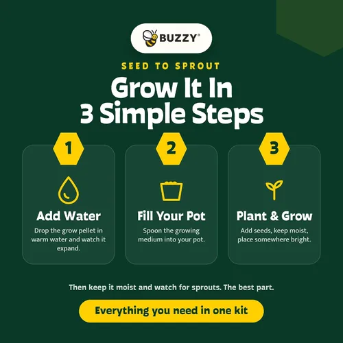 Vista 5 de BUZZY Semillas de terracota Mini macetas de cultivo Kit de iniciación de hierbas, plantas, flores para niños y adultos Mini cactus paquete de 6