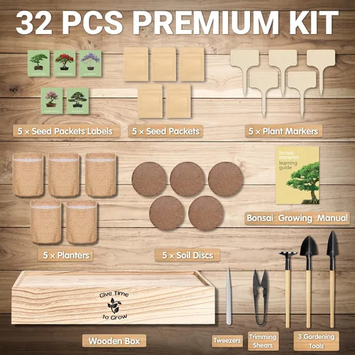 Vista 5 de Bonsai Tree Starter Kit for Beginners 5 Unique Indoor Plants
