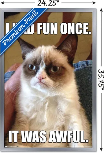 Vista 3 de Trends International Grumpy Cat - Póster de pared divertido, 22.375 x 34 pulgadas, versión enmarcada plateada Versión con marco plateado