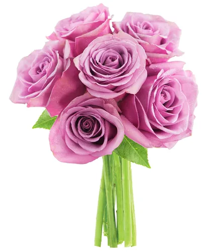 Vista 54 de KaBloom - Rosas arcoíris (media docena)- Flores frescas para cumpleaños, San Valentín y Día de la Madre