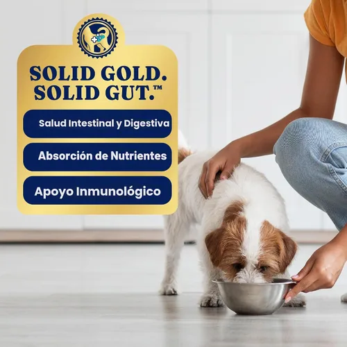 Vista 6 de Solid Gold Aderezo de Comida Húmeda para Perros y Tazas de Comida - Con Pollo, Carne de Res y Calabaza para Estómagos Sensibles, Salud Intestinal
