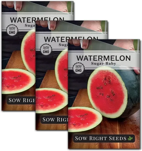 Vista 8 de Sow Right Seeds - Semilla de sandía Sugar Baby para plantar - Paquete de reliquia sin OMG con instrucciones para plantar un huerto casero