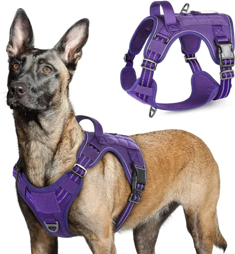 Vista 38 de rabbitgoo Arnés táctico para perros pequeños, chaleco de servicio militar sin tirones con asa y Molle, de fácil control para entrenar y caminar