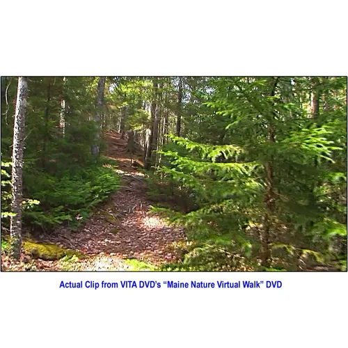 Vista 5 de Maine Nature Walk Treadmill Scenery DVD