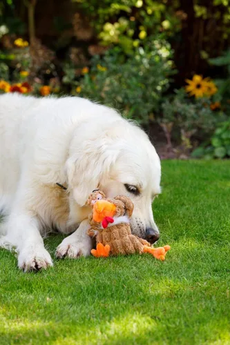 Vista 6 de Petface Farmyard Buddies - Juguete grueso para perros de pollo