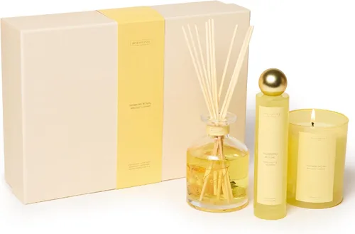 Vista 15 de Benevolence LA Difusor de junco, difusor de aroma de rosa y sándalo para el hogar con varillas difusoras de aceite Colección Sun-Kissed