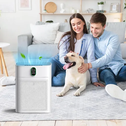Vista 6 de CHIVALZ Paquete de 2 filtros de repuesto HY4866 True HEPA compatibles con el purificador de aire MORENTO HY4866, purificador de aire WESTHEY HY4866