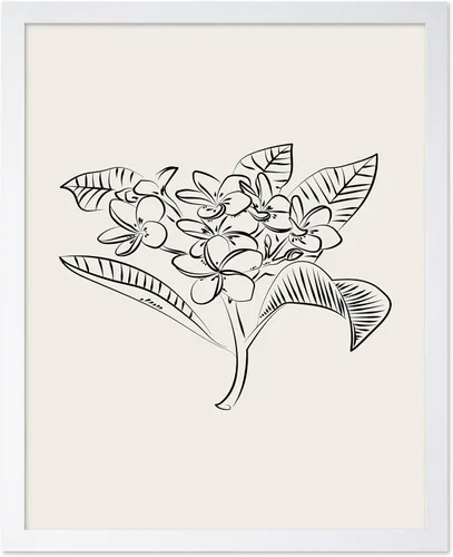Vista 76 de Poster Master Póster Plumeria - Impresión de flores retro, arte floral, arte de flores tropicales, arte de línea - Arte de boceto - Arte abstracto