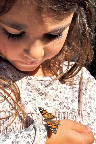 Vista 3 de Insect Lore Butterfly Garden Experience Vale prepagado sin cargo Canjee Raise and Release 5 Baby Painted Lady Caterpillars Hábitat