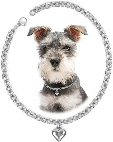 Vista 14 de HOWWFALY Collar para Perro y Cadena Collar para Gato de Acero Inoxidable Ajustable Collar en Forma de Corazón de Oro 18K para Mascotas Pequeñas