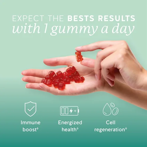 Vista 2 de Bears with Benefits Gomitas de apoyo inmunológico – Vitamina C, D, B6 y B12 – Impulso inmunológico diario – Veganas, con sabor natural (30 gomitas)