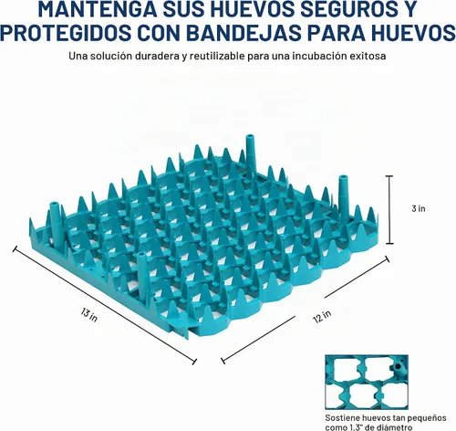 Vista 4 de Bandejas universales para huevos de pollo (paquete de 6)
