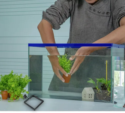 Vista 9 de SunGrow Anillo de alimentación de alimentos para peces, evita que las turbulencias del agua laven alimentos y plantas flotantes en el filtro