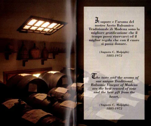 Vista 7 de Vinagre Balsámico Tradicional de Módena DOP 12 años, 3.4 oz + dosificador de tic + libro de recetas