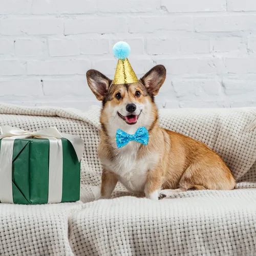 Vista 6 de Satinior Juego de 4 pajaritas con sombrero de cumpleaños de gato, azul lago