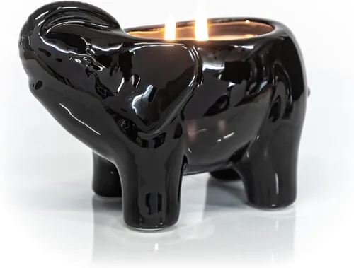 Vista 7 de Vela perfumada de elefante de lujo, tarro grande de 28 onzas con mezcla de cera de soja y 2 mechas de algodón, largo tiempo de combustión de 180 a