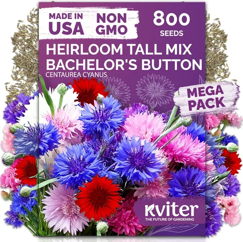 Vista 43 de KVITER 15,000 semillas de rosa musgo mixta para plantar (Portulaca grandiflora) – Cubierta de suelo con floración de reliquia, semilla de Portulaca