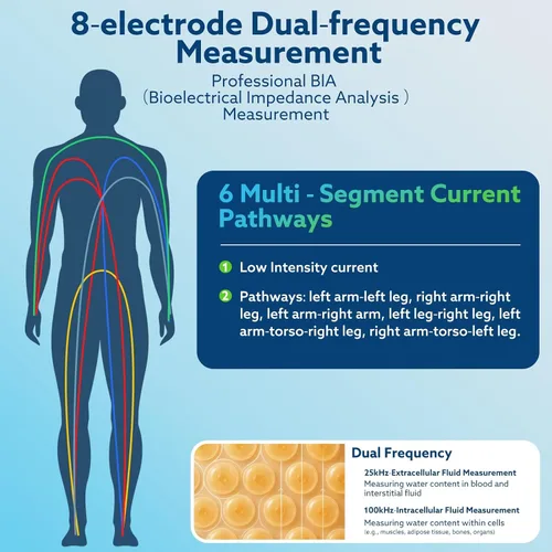 Vista 2 de Báscula inteligente para peso corporal, báscula digital de baño de 8 electrodos, para medición de metabolismo de proteínas óseas de IMC grasa, masa