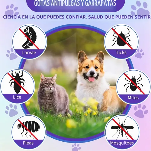 Vista 3 de WEALLIN Soporte para pulgas y garrapatas para perros y gatos con multivitamínico 2.0 fl oz