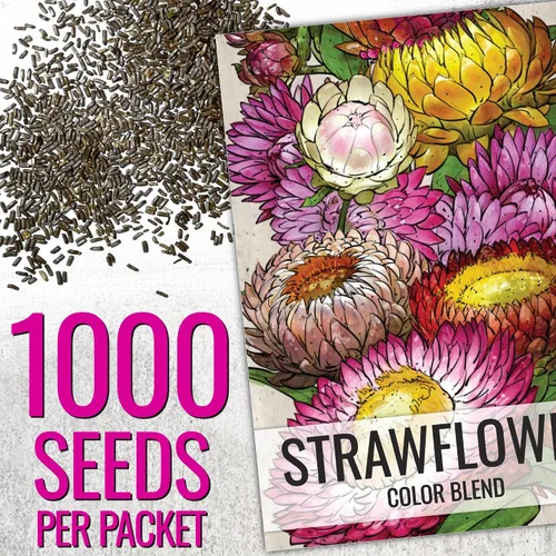 Vista 2 de Seed Needs - Semillas de fresa para plantar flores cortadas anuales mixtas, 1 paquete