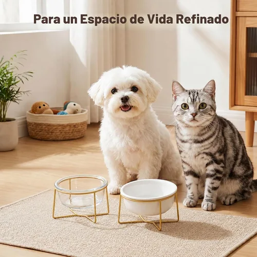 Vista 7 de Cuenco elevado de vidrio pequeño inclinado para gatos y perros, plato elevado para comida para gatos, plato de agua para mascotas, cuencos