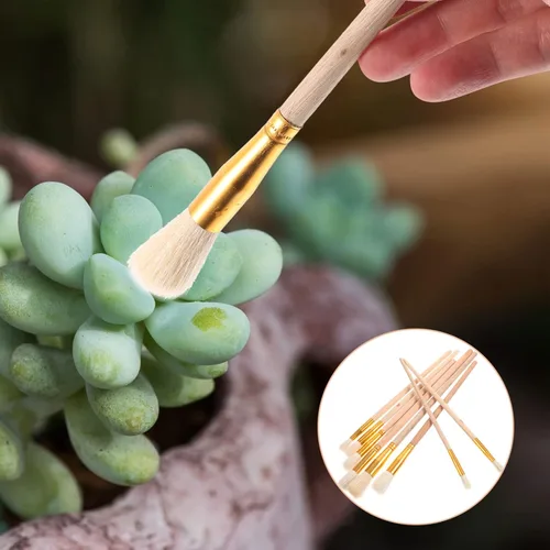 Vista 9 de GANAZONO 8PCS Polinizador de Plantas Suculentas Plantas Cepillo de Limpieza Herramientas de Jardinería Paisaje Miniaturas Cepillador Cepillo