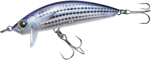 Vista 15 de Minnow de superficie costera 3D