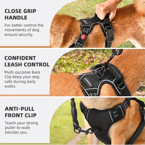 Vista 6 de Arnés para perro sin tirón y correa - Chaleco ajustable suave y acolchado, chaleco Oxford reflectante con asa de fácil control para perros pequeños
